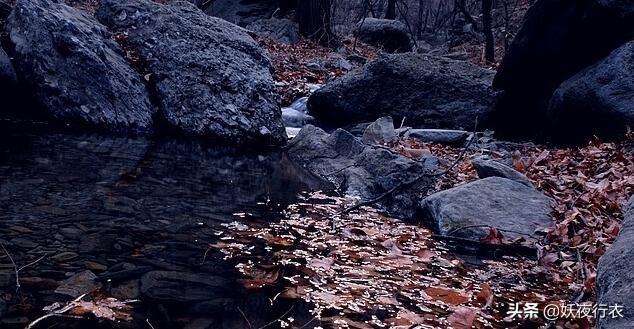小石潭记细思极恐（小石潭记细思极恐的细节女儿刚失去爱夫）