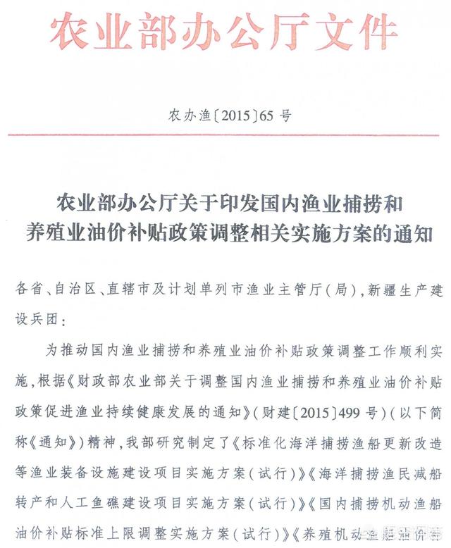 河北被砸事件真相（河北被砸事件真相揭秘）