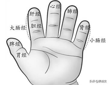 小拇指（小拇指英文）（小拇指英语单词怎么说）