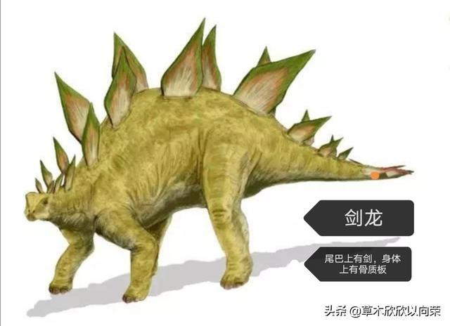 恐龙名称大全及图片（恐龙名称大全及图片 对照 种类）