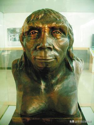 人类的起源图片（人类的起源资料）