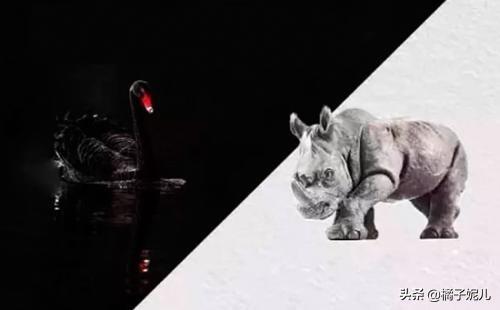 灰犀牛是什么意思啊（灰犀牛是什么意思啊图片）