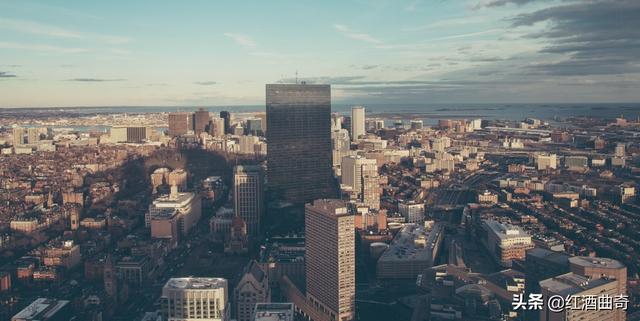 成都僵尸事件真实图 伤人（成都僵尸事件是什么）