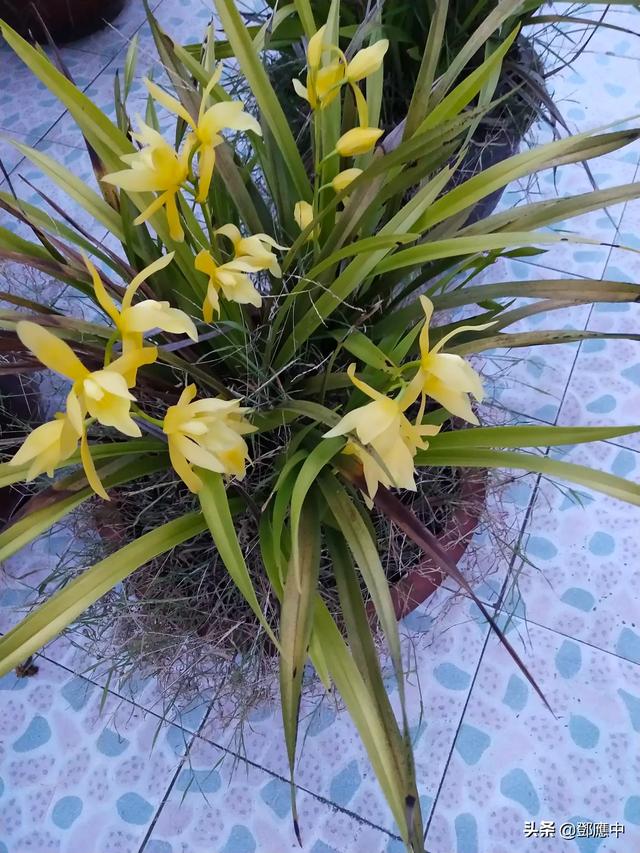 世界公认最美的图片（世界最美图片唯美）