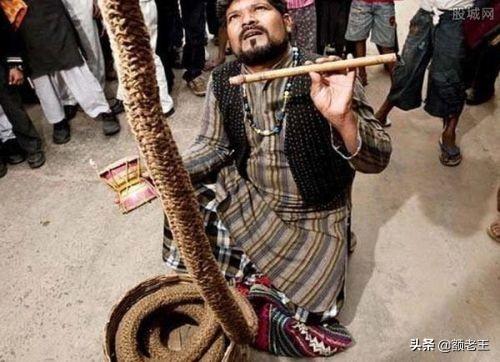 印度通天绳是什么原理