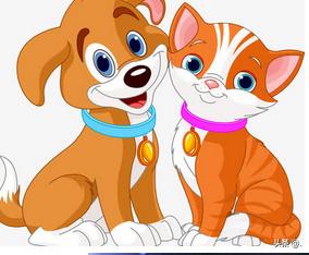 小猫和小狗的故事作文（小猫和小狗的故事作文300字）